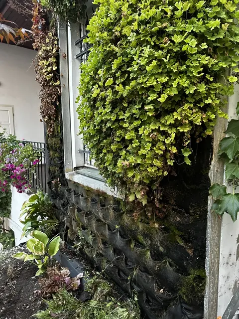 Revitalizace zeleně bytového domu v centru Prahy